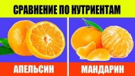 Апельсин против мандарина. Сравнение цитрусов по нутриентам
