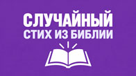 Случайный стих из Библии