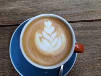 «Лювак» – самое дорогое кофе